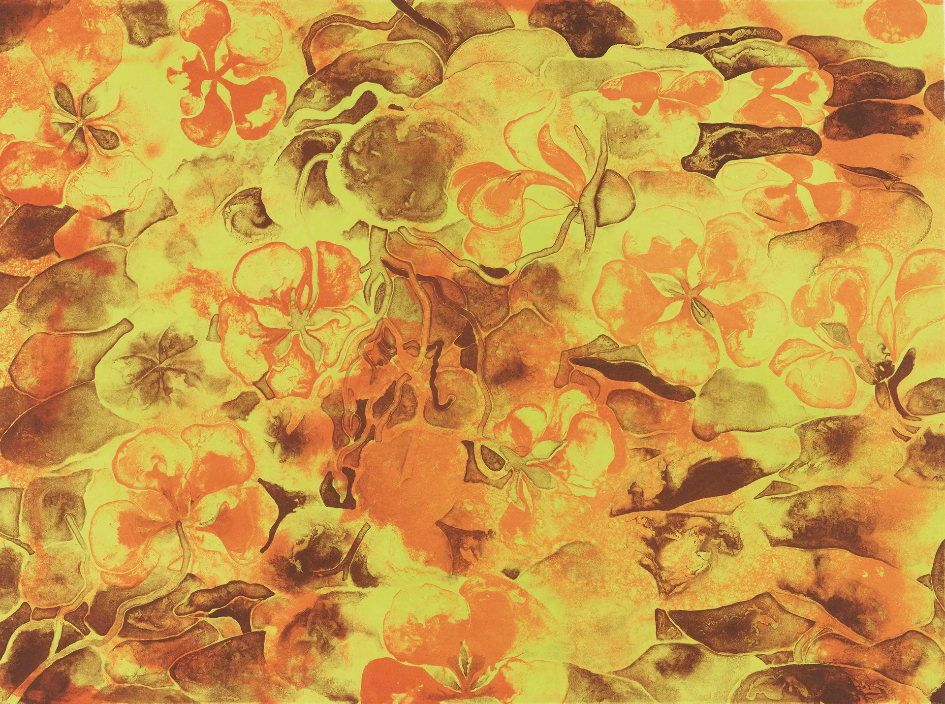 Ruth Asawa. Nasturtiums, 1965. Colección privada