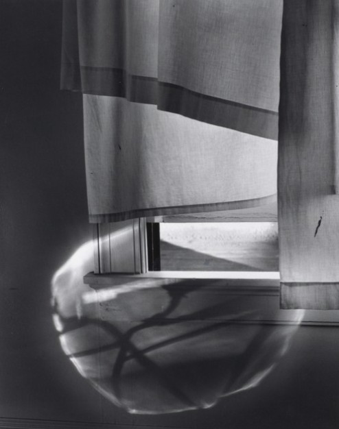 Minor White. Windowsill Daydreaming, Rochester, 1958. © Trustees of Princeton University