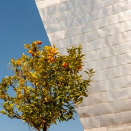 El Museo Guggenheim Bilbao se une a la Gallery Climate Coalition