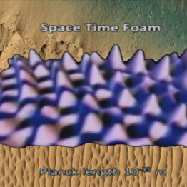 Hito Steyerl y Bruce Eesly, entre las apuestas del Festival Panoràmic