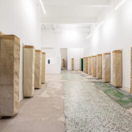 Bullenbeisser: Julia Huete viste la ciudad