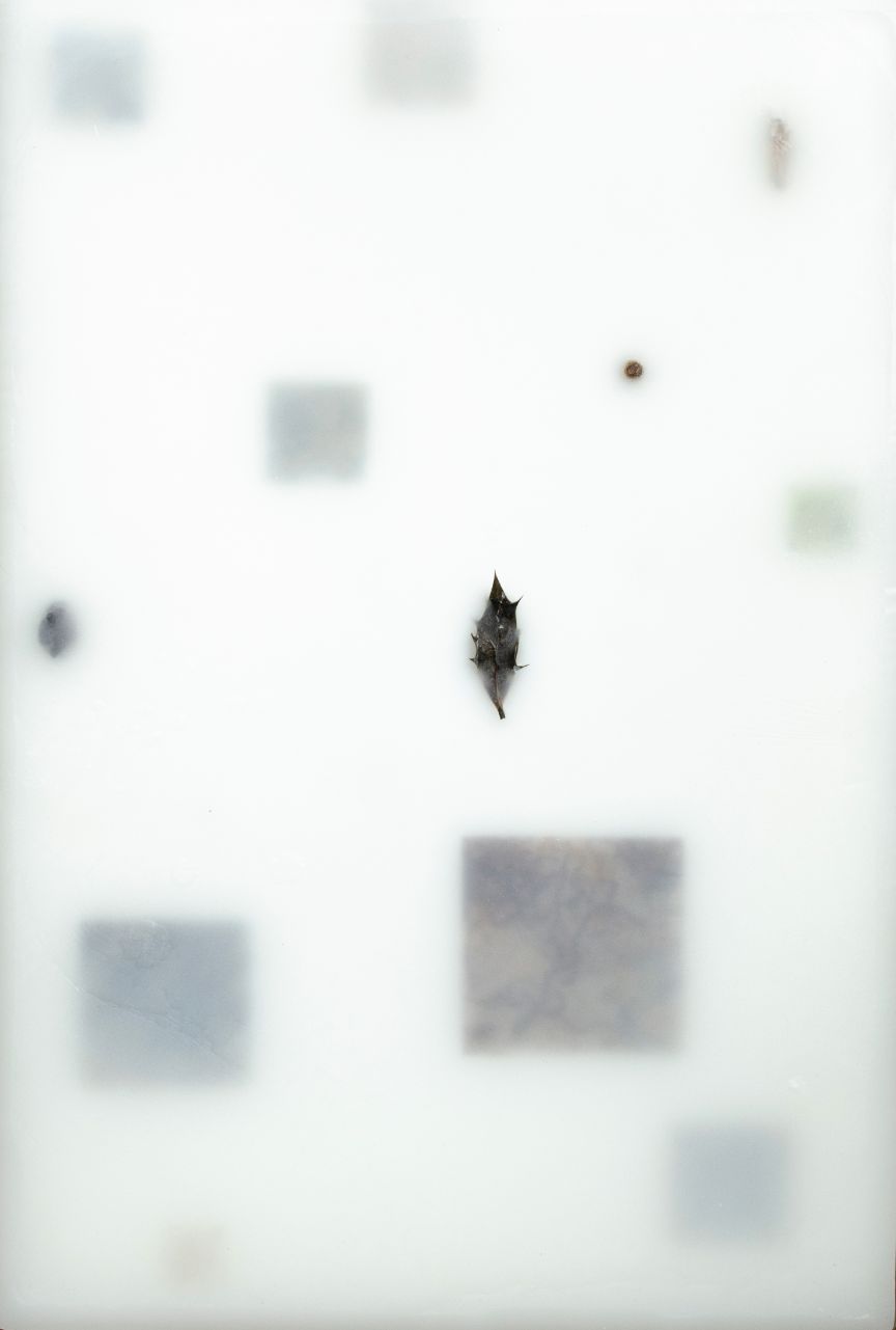 Manuel Minch. Umbra. Museo de Altamira