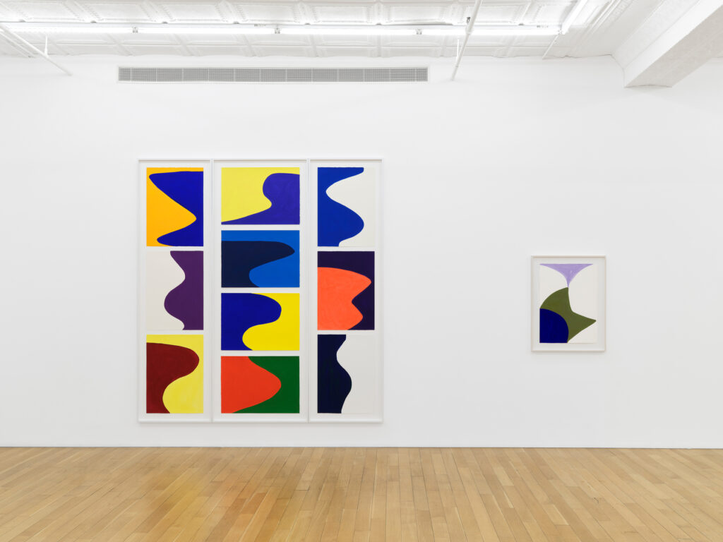 Marina Adams. Works on Paper: A Survey. Peter Blum Gallery