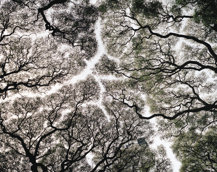 Matías Costa. Plaza Francia. Ganador del Premio de Fotografía Banca March