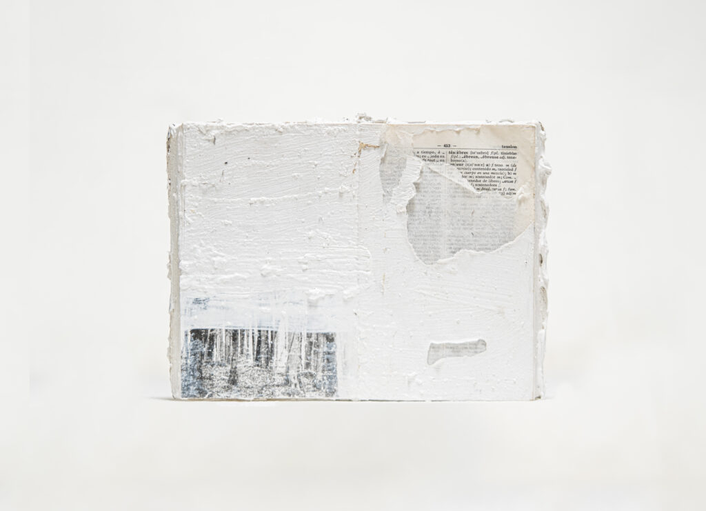 Marc Ávila Català. Tensión nº4. Incipit Vita Nova