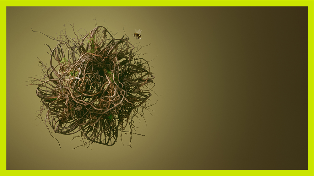 Un jardín para Rodoreda. CCCB