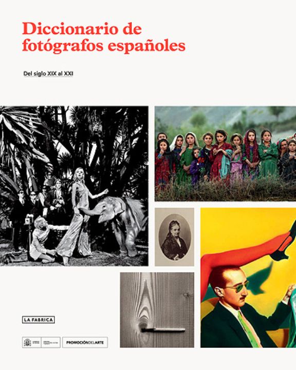 DICCIONARIO DE FOTÓGRAFOS ESPAÑOLES. DEL SIGLO XIX AL XXI