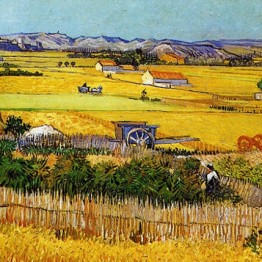 Van Gogh. La Plaine de la Crau avec des pêchers en fleurs — Arles, 1889