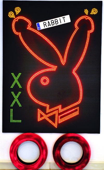 Sandra Paula Fernández. Rabbit XXL, 2012