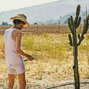 Lucky, el miedo y la frescura del hombre anciano