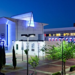 Técnico de comunicación y marketing en Artium Museoa