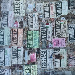 Mensajes lingüísticos de carácter informal, monolingües, que evocan los anuncios por palabras de la prensa, con el característico se impersonal, convertido aquí en fórmula lingüística recurrente (“se amputa… el alma”; “Se solicita… un futuro mejor”; “Se violenta… el arte -de los demás-”, etc.). Milán, Via Tortona, octubre de 2024. Luis Guerra