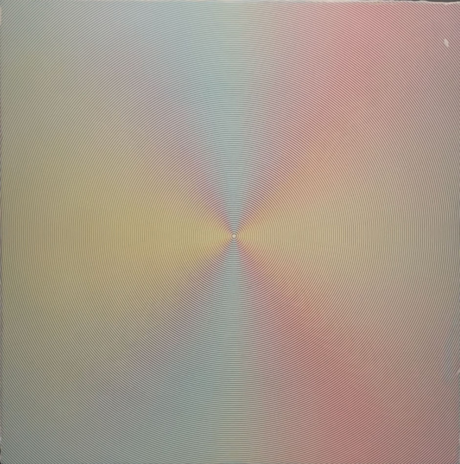 En vivo y en directo: color, percepción y experiencia. Exposición en el Museo Universidad de Navarra.