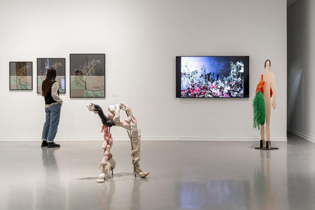 Veinticuatro años y un día. La Casa Encendida, 2025. Fotografía: Maru Serrano