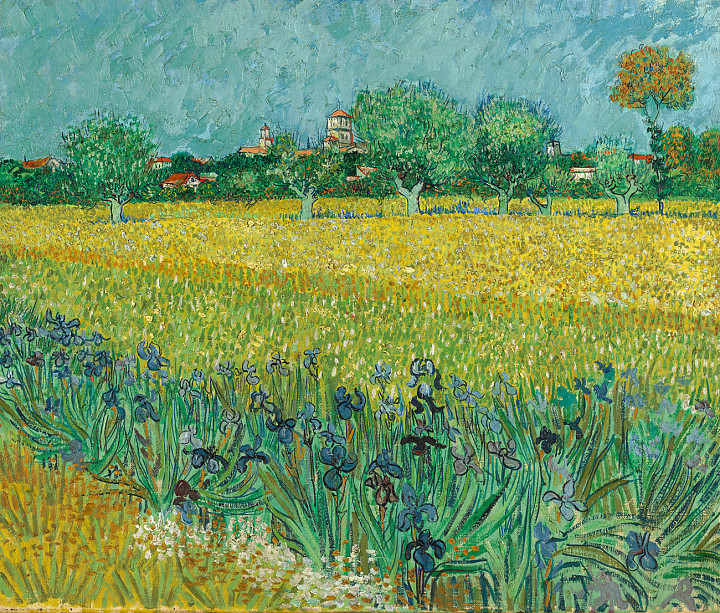 Van Gogh. Campo de lirios cerca de Arlés, 1888. Van Gogh Museum, Ámsterdam