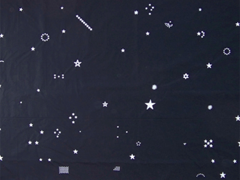 Sümer Sayin. The Stars, 2013