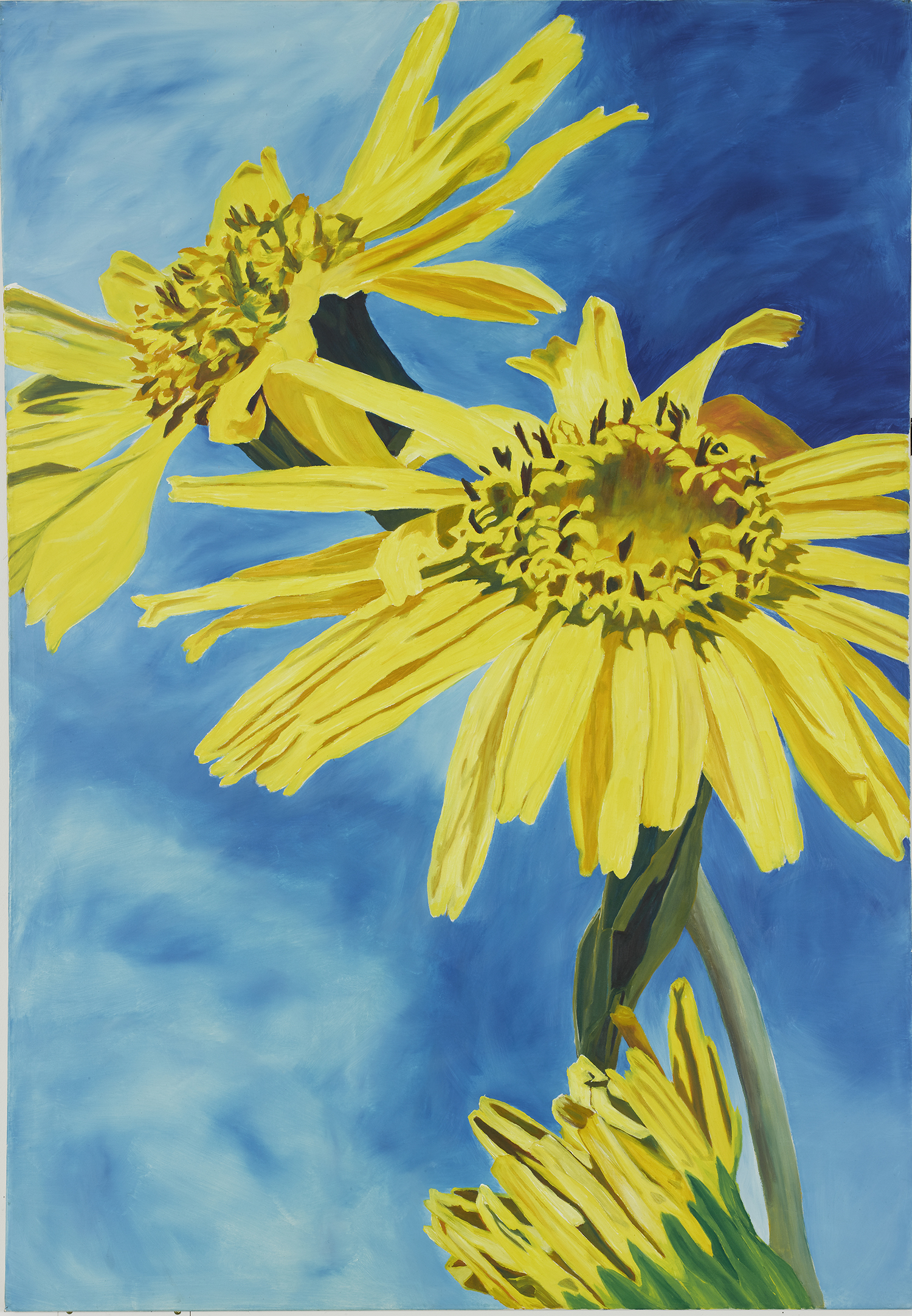 Anne Loch. AL 206, 1987. Colección privada