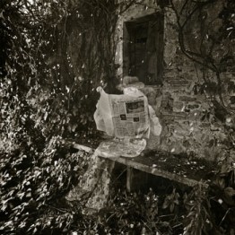 Joan Fontcuberta. L'urna l'oblida, amnistia, 1977