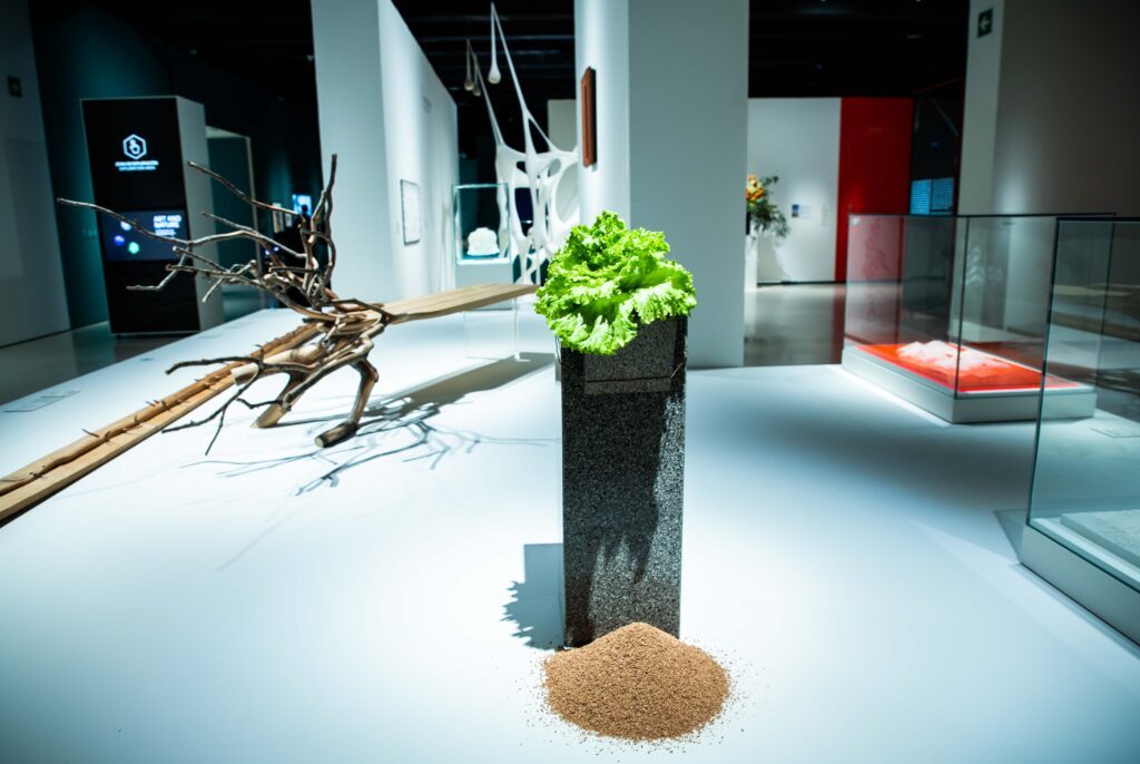 Arte y naturaleza. Un siglo de biomorfismo. CaixaForum Madrid