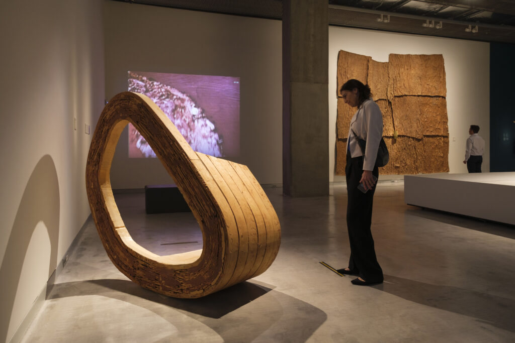 Una de las salas de la exposición «Arte y naturaleza. Un siglo de biomorfismo». © Fundación "la Caixa"