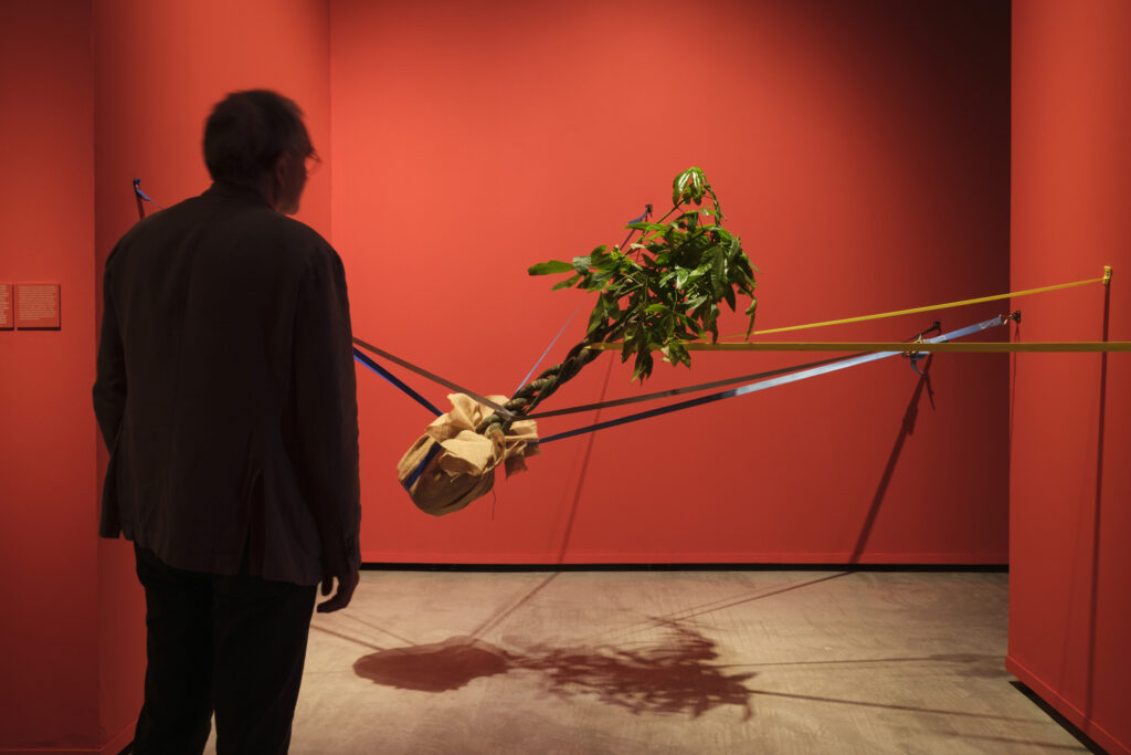 Una de las salas de la exposición «Arte y naturaleza. Un siglo de biomorfismo». © Fundación "la Caixa"