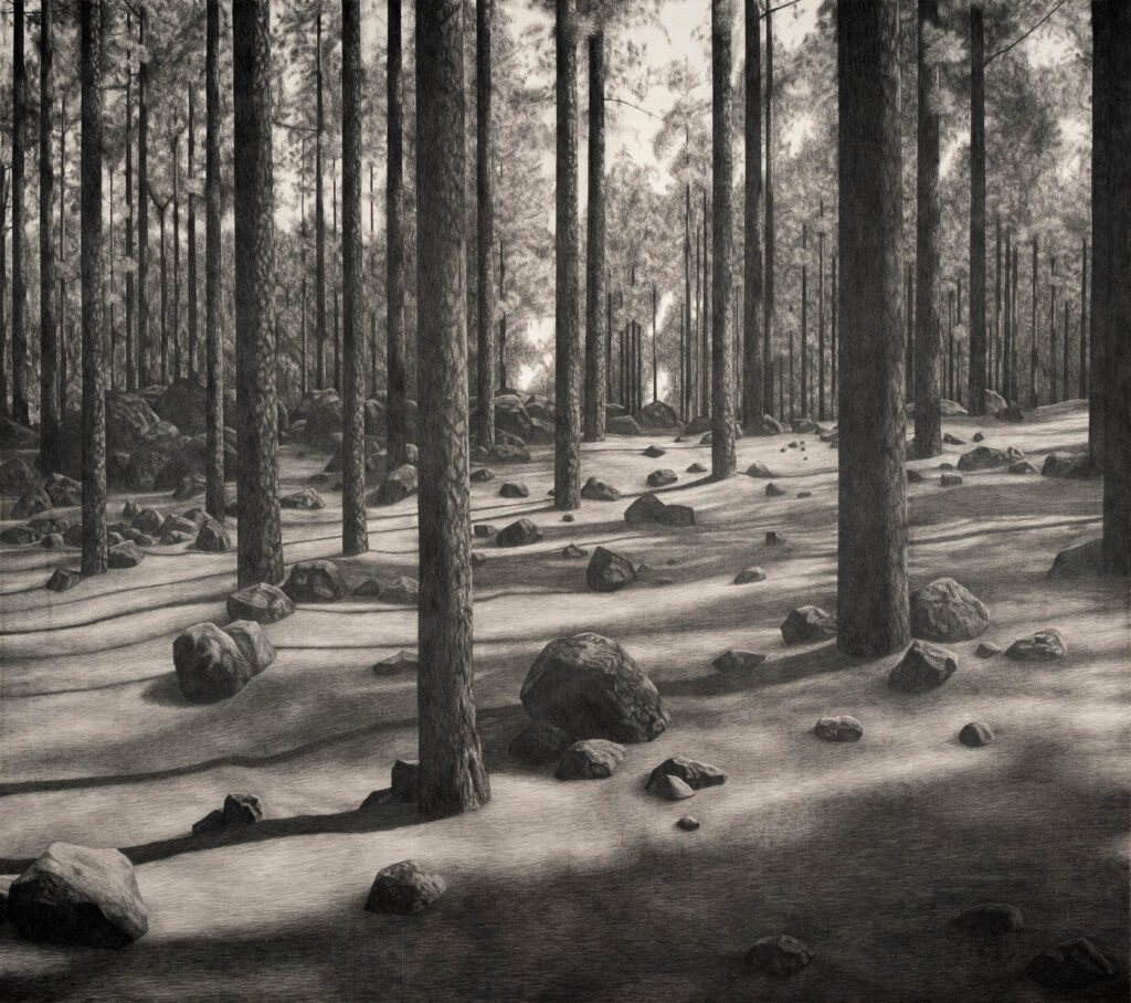 Julio Blancas. Lo que sucede mientras vives. Galería Artizar Madrid