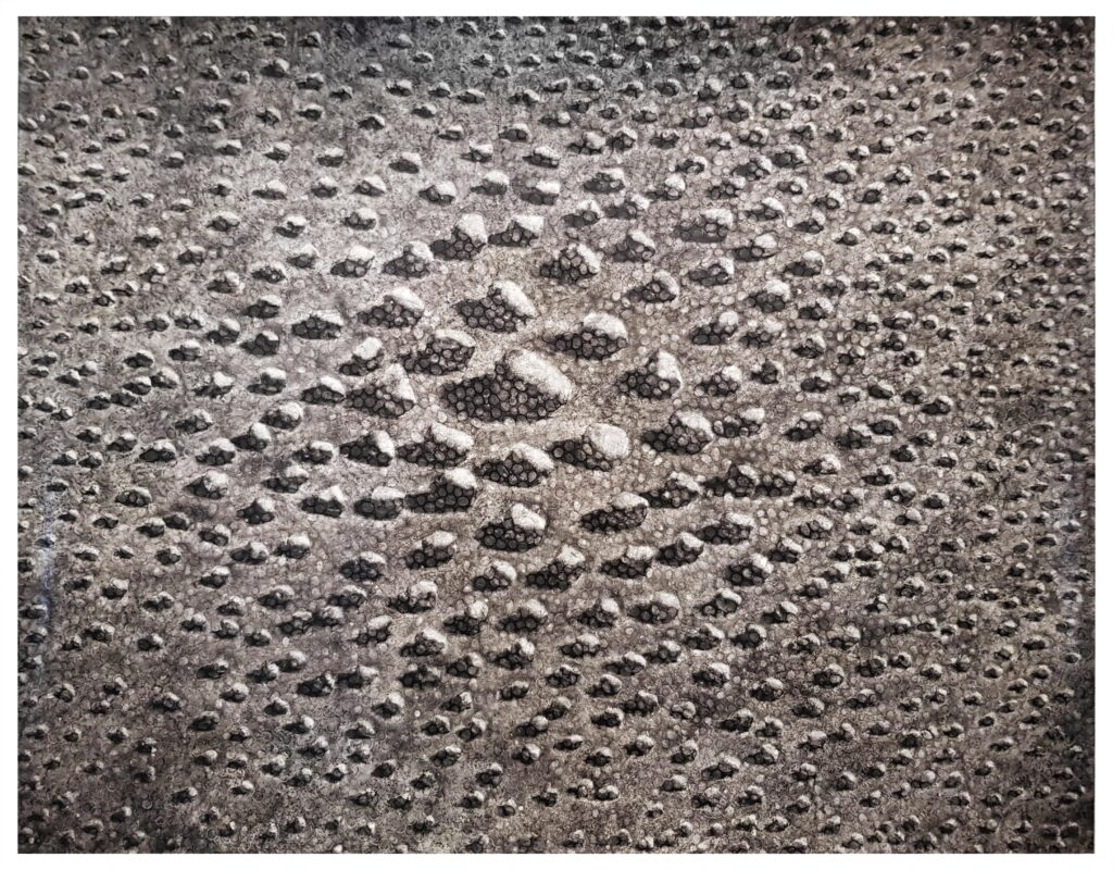 Julio Blancas. Lo que sucede mientras vives. Galería Artizar Madrid