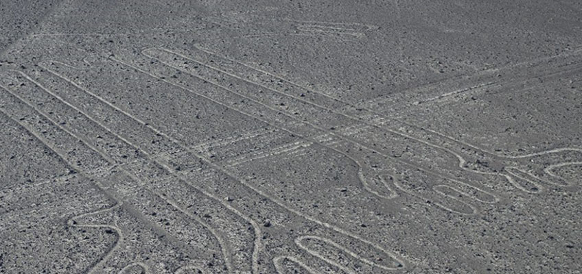 Geoglifo de Nazca (Perro o camélido)