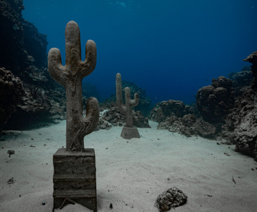 Claudia Comte. Underwater Cactus