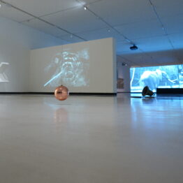 Anónima: acción y estudio de Txuspo Poyo