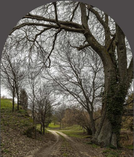 José Manuel Ballester. Camino al monasterio, 2014-2020