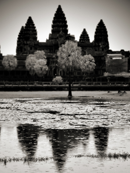 Toni Catany. Angkor, 2010 © Toni Catany