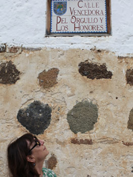 Sophie Calle, Historias de Pared