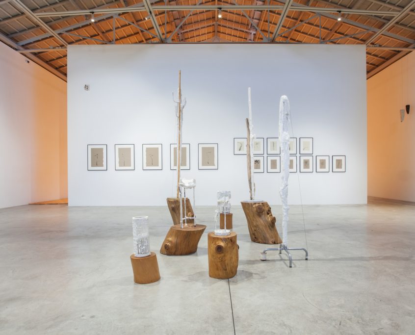 Carlos Bunga. Performar la naturaleza. Bombas Gens Centre d´ Art