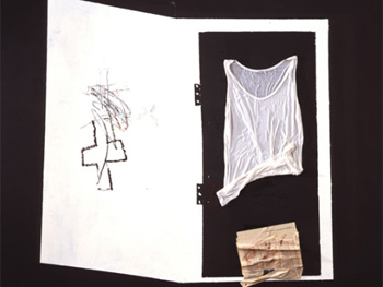 Antoni Tàpies. Armari amb collage, 2010