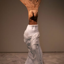 Kader Attia: mirar la herida