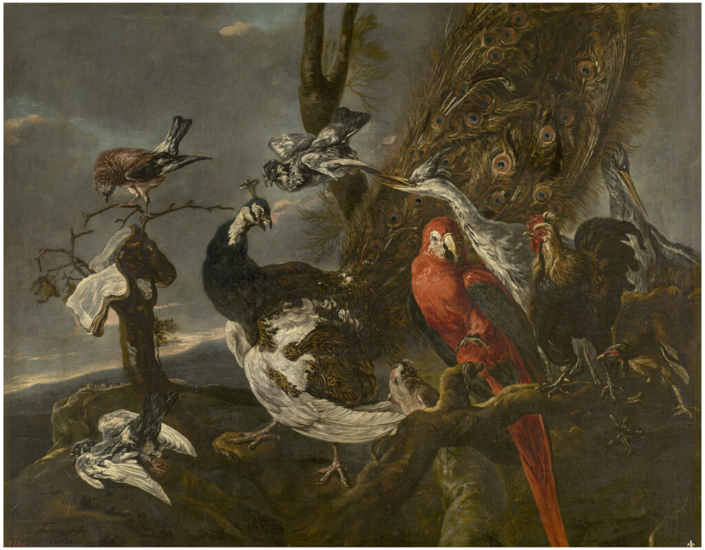 Jan Fyt, «Concierto de aves», 1661. Óleo sobre lienzo. © Museo Nacional del Prado. Archivo Fotográfico