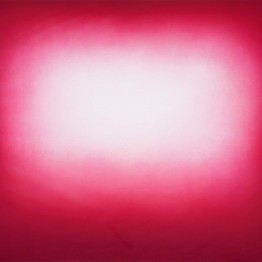 Anish Kapoor. "Red Shadow" en la Galería La Caja Negra