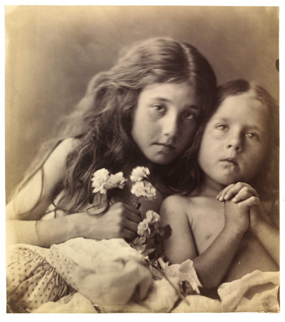Julia Margaret Cameron. The red and white Roses, 1865