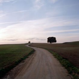 Juan Valbuena. Camino Casa del Monte, 2007. Serie Un lugar de la Mancha