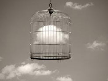 Chema Madoz 2000-2005