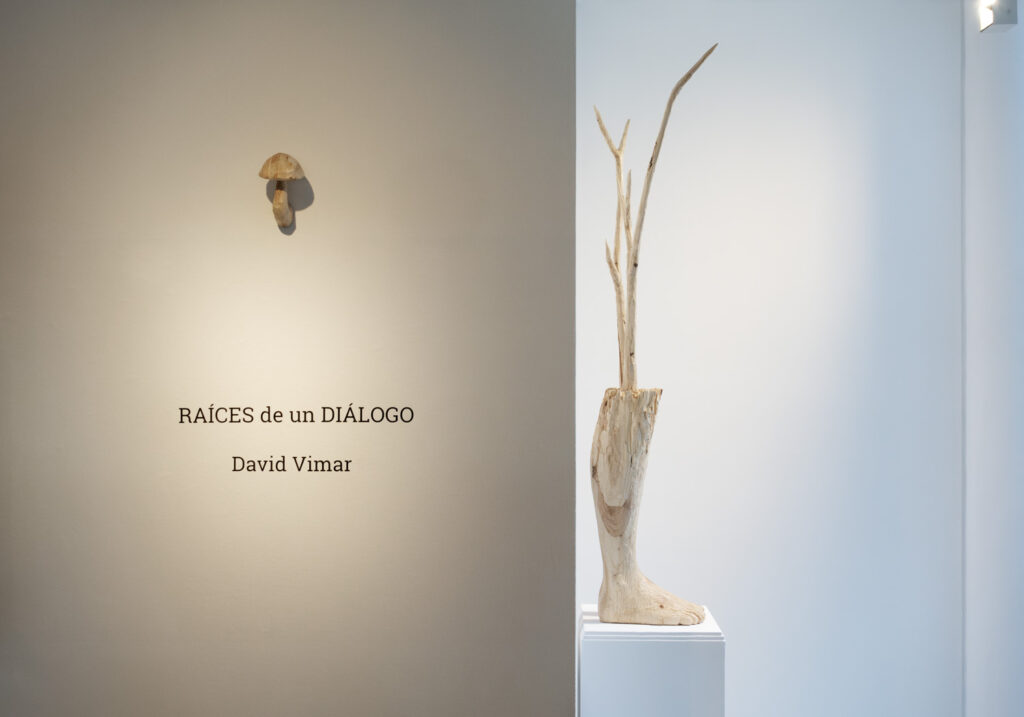 David Vimar. Raíces de un diálogo. CEART Fuenlabrada