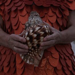 Tres décadas de Itinerarios: los artistas se acercan a la ciencia