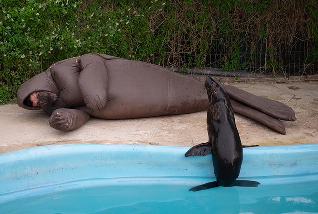 Eduardo Navarro F.O.C.A. Fundación Oceánica de Contemplación Amorosa Punta Colorada, 2024