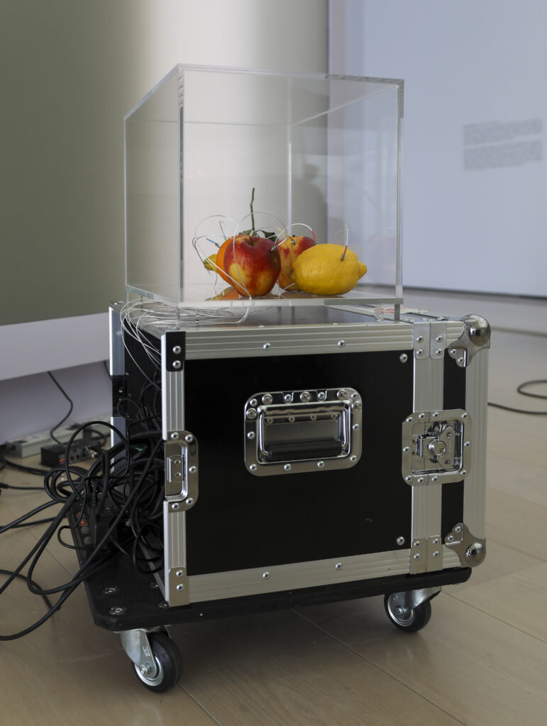 Yuko Mohri. Decomposition, 2021-en curso. Fotografía: Belén de Benito