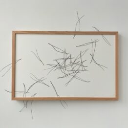 Cristina Almodóvar, Chus García-Fraile y Daniel Verbis, tres momentos en un jardín