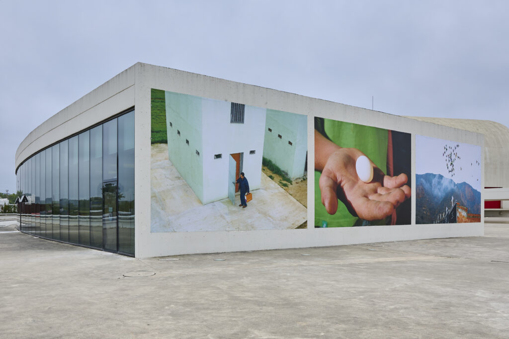 Ricardo Cases. Paloma al aire. Centro Niemeyer, Avilés