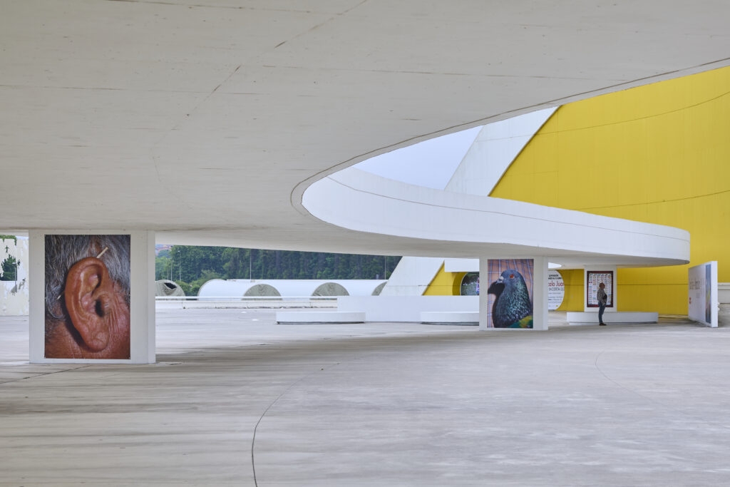 Ricardo Cases. Paloma al aire. Centro Niemeyer, Avilés
