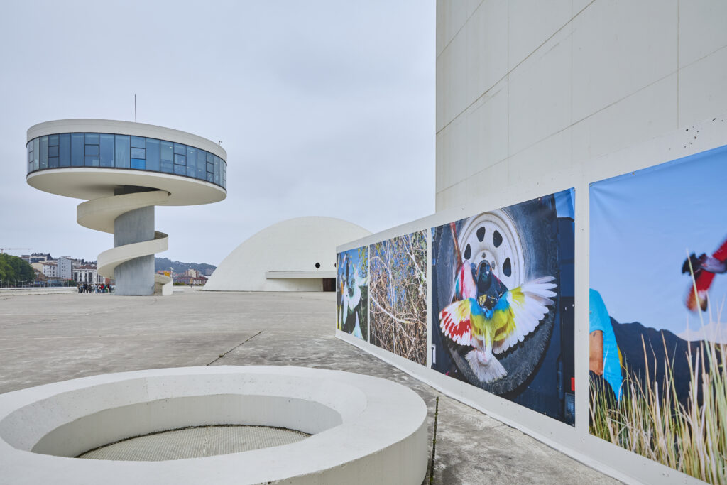 Ricardo Cases. Paloma al aire. Centro Niemeyer, Avilés