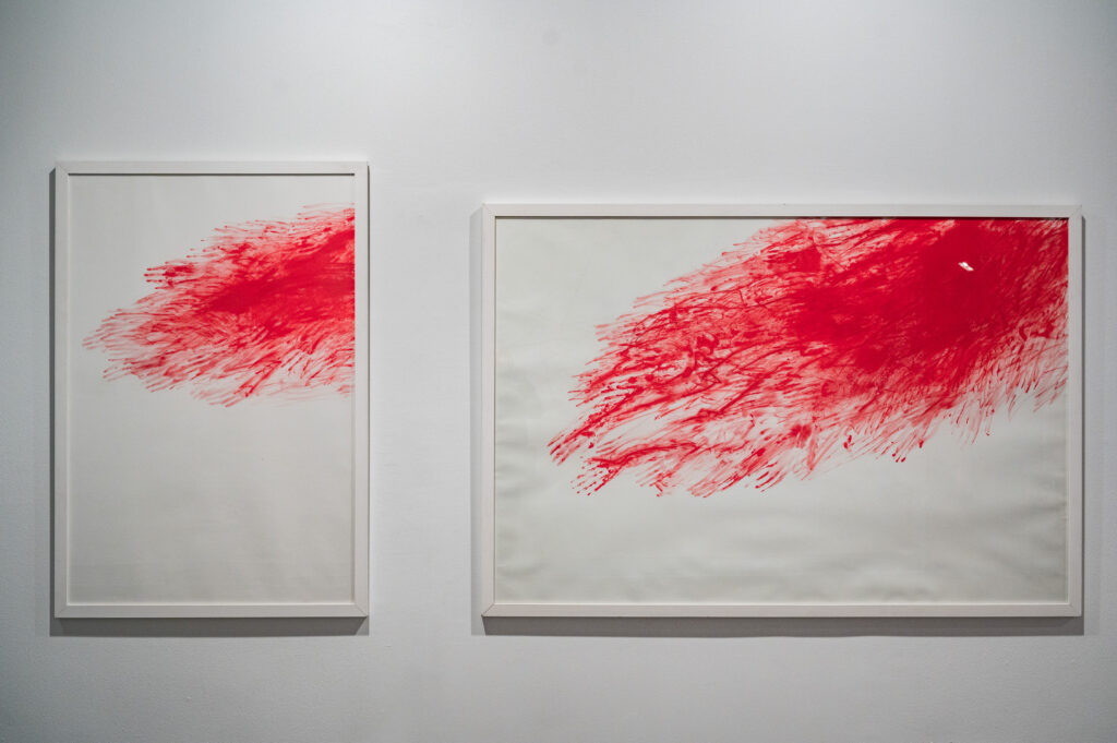 Chiharu Shiota. Línea roja XII y Línea roja XIII, 2012. 
